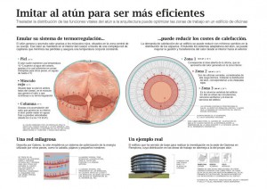 20160809_BIOMIMETISMO