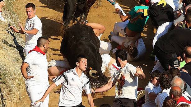 Un joven herido tras darse la vuelta una vaca en el encierrillo del Pilón