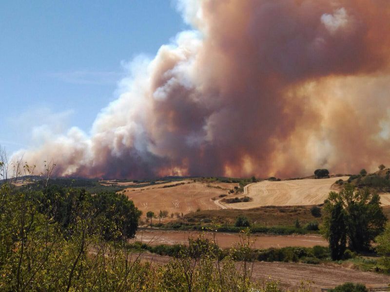 El incendio declarado en las inmediaciones de Tafalla afecta ya a una superficie de más de 2.000 hectáreas