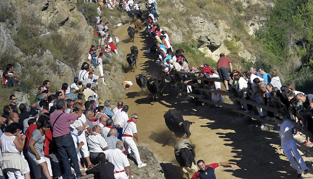 8 heridos en el séptimo encierro del Pilón de Falces