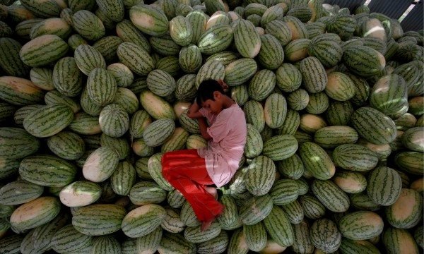 Los riesgos de una dieta vegana en la infancia