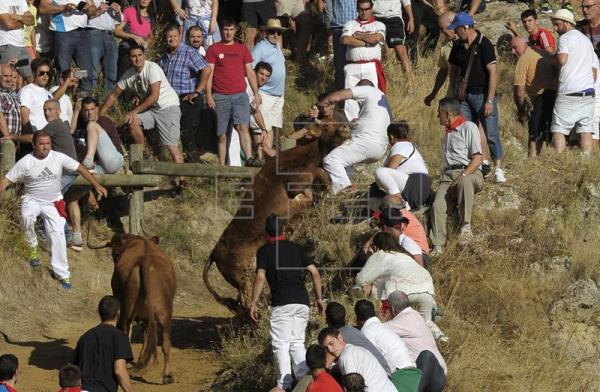 Un joven herido tras darse la vuelta una vaca en el encierrillo del Pilón