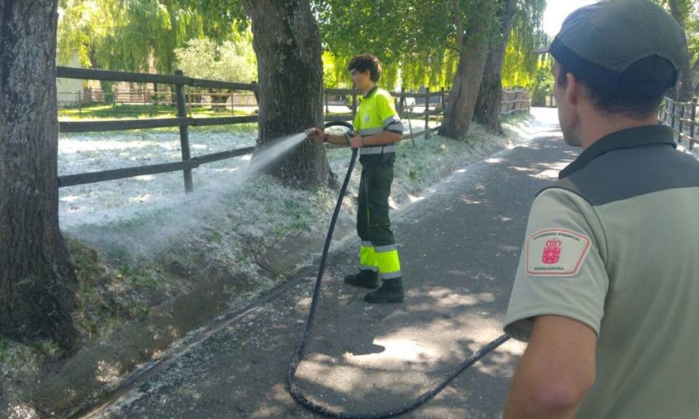 La prevención de incendios por pelusa de chopo minimiza el riesgo en Navarra