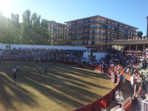 primer encierro estella 2016.jpg 3 jpg