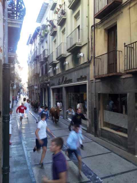 Fiestas de Estella 2016: El primer encierro limpio y en tres minutos