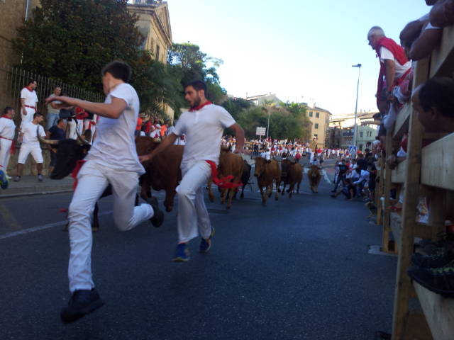 AGENDA: 9 de agosto, en Fiestas de Estella (Navarra)