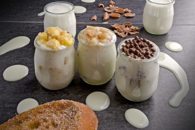 Yogur y lácteos, esenciales para toda la vida