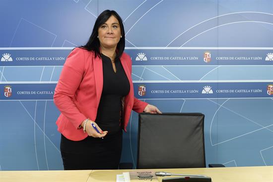 El PSOE de Castilla y León acuerda apoyar a Sánchez en el Comité Federal