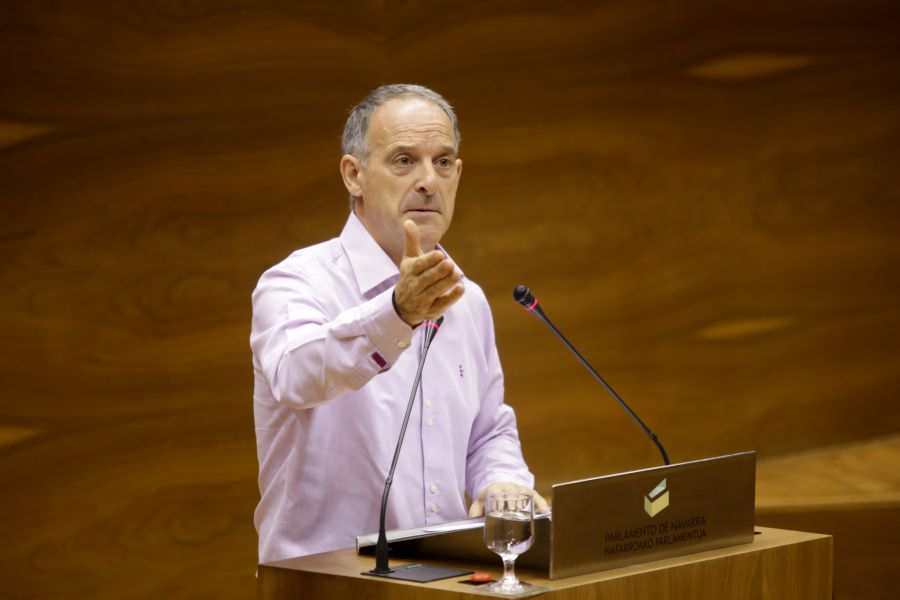 adolfo-araiz-g-p-eh-bildu