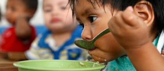 Los expertos piden combatir más la malnutrición, la mayor amenaza para la salud