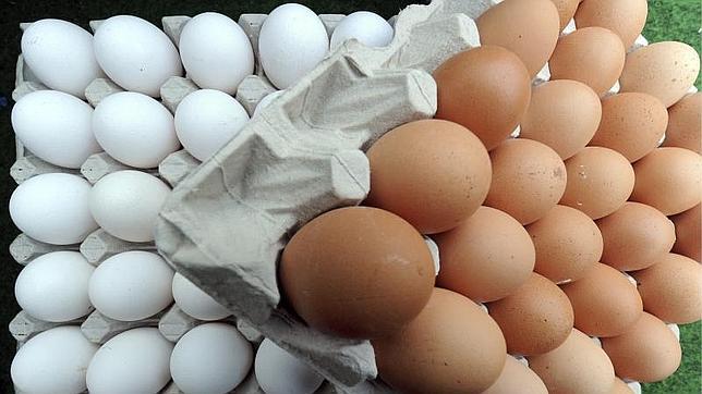 Comer un huevo al día es compatible con una dieta saludable, según un estudio