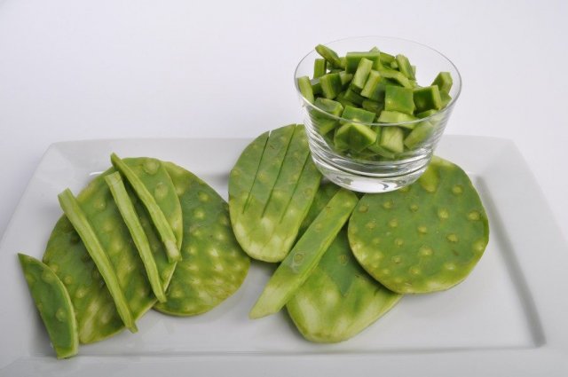 Cactus, fuente de salud y belleza