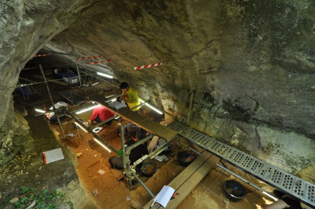 El estrés competitivo con el Homo sapiens acabó con los neandertales