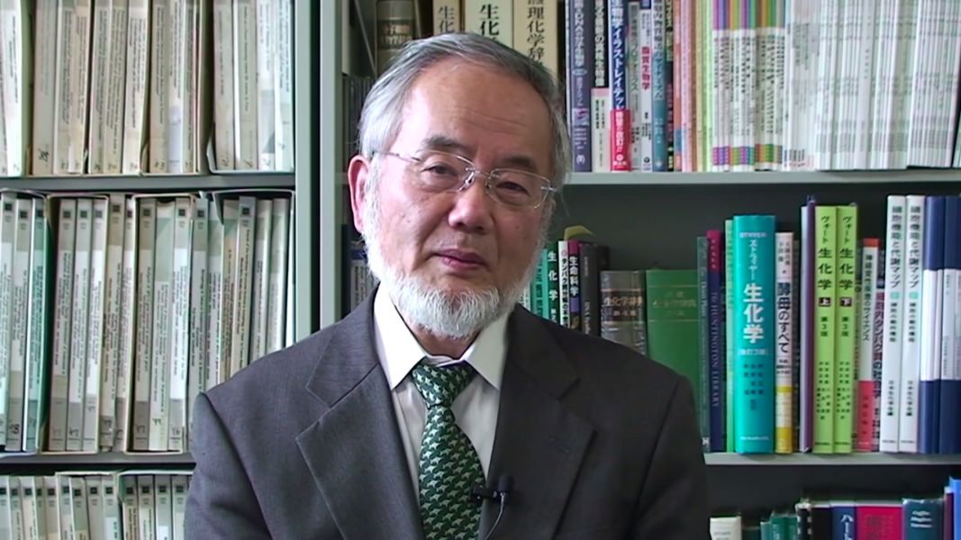 Nobel de Medicina para el japonés que descubrió el mecanismo de la autofagia