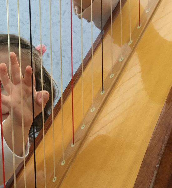 AGENDA: 30 de octubre, apilla Museo de Navarra, Concierto especial para bebés, niños y niñas
