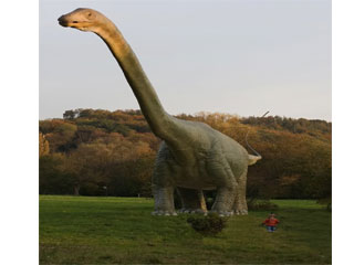 Descubren nuevo dinosaurio de cuello largo en Australia
