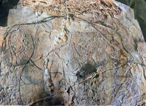 Bisonte grabado en la cueva de Alkerdi 2 (Urdax)