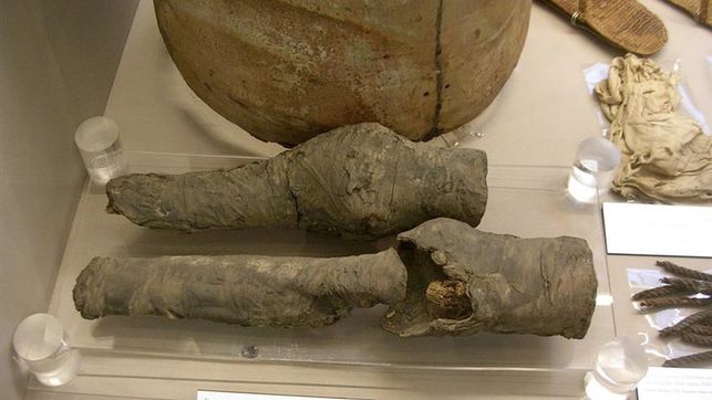 Arqueólogos atribuyen unas piernas momificadas a la reina egipcia Nefertari