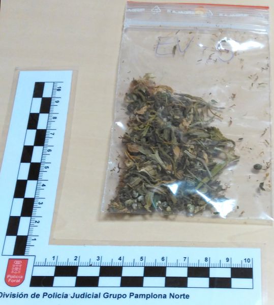 Detenido en Vera de Bidasoa por traficar con cocaína, hachís y marihuana