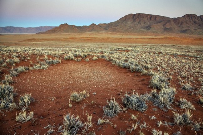 Una nueva hipótesis explica el misterio de los “círculos de hadas” de Namibia