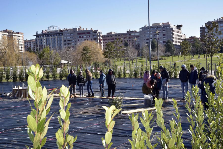 El ‘Rosal de Siria’ es el primer arbusto del Jardín de la Galaxia de Pamplona