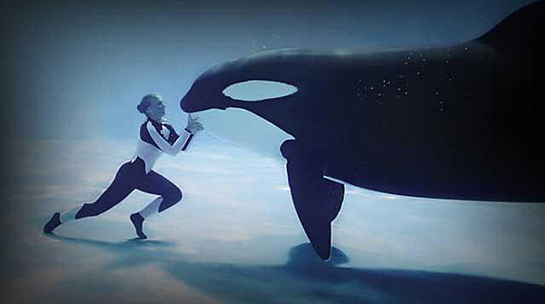 Muere Tilikum, la orca 'asesina' de SeaWorld que protagonizó el documental 'Blackfish'