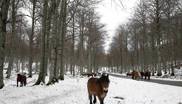 Navarra en alerta naranja por nevadas