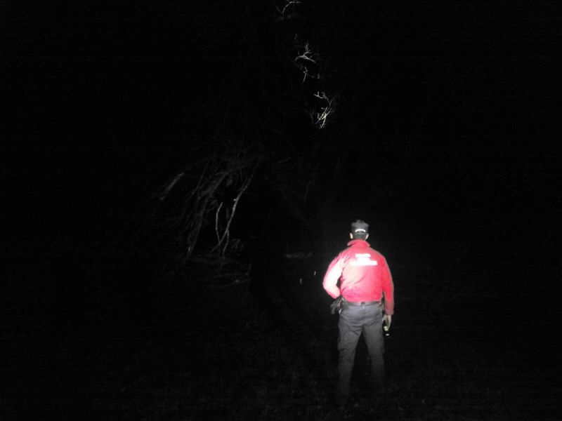 Muere un hombre de 53 años en Errazu (Navarra) mientras podaba un árbol