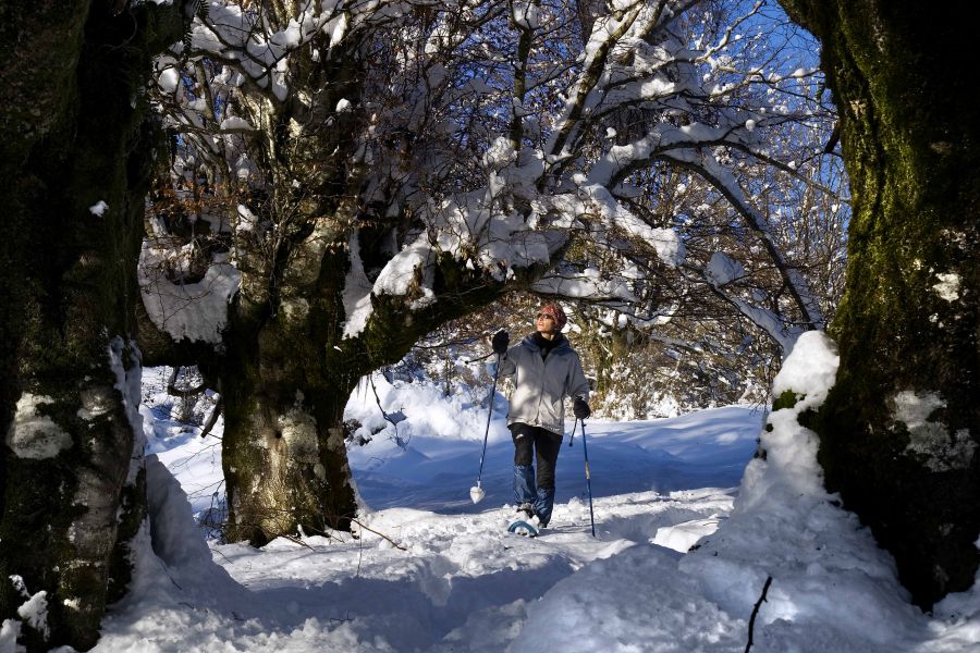 Alerta amarilla en Navarra por riesgo de nevadas en el Pirineo