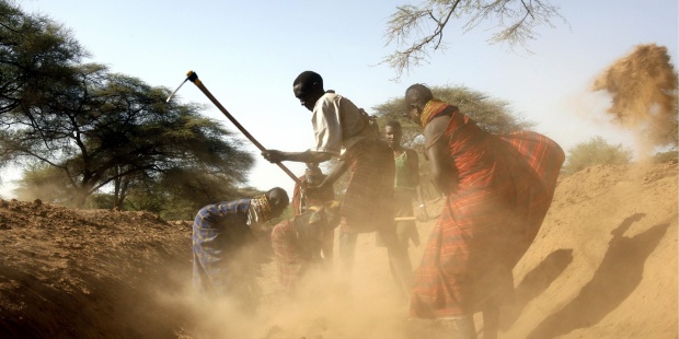 Estudio vincula aumento de CO2 con cambios de usos del suelo agrícola en Africa