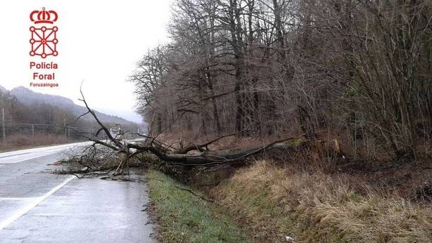 La caída de un árbol corta la vía de tren entre Alsasua y Zegama