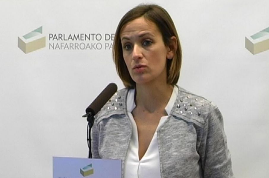 El PSN apoya la Ley de pensiones de viudedad y enmendará la totalidad de Ley de Policías de Navarra