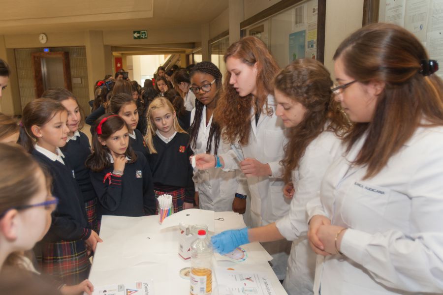 La Universidad de Navarra presenta la plataforma de apoyo y empoderamiento de la mujer en Women for Science and Technology