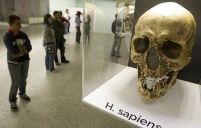 El ADN neandertal sigue en nuestros genes