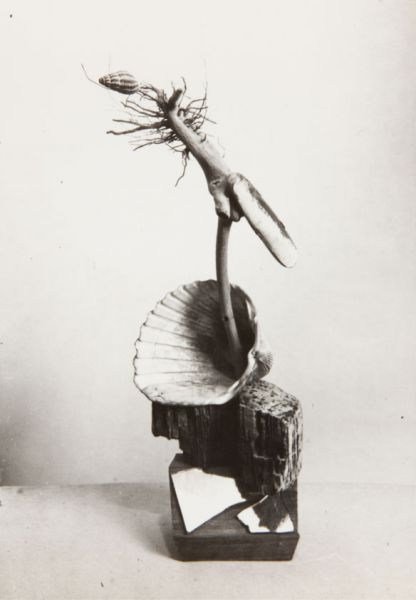 El Museo Oteiza exhibe la muestra “Mutación poética. Naturaleza viva en los objetos de Ángel Ferrant, 1945-1950”