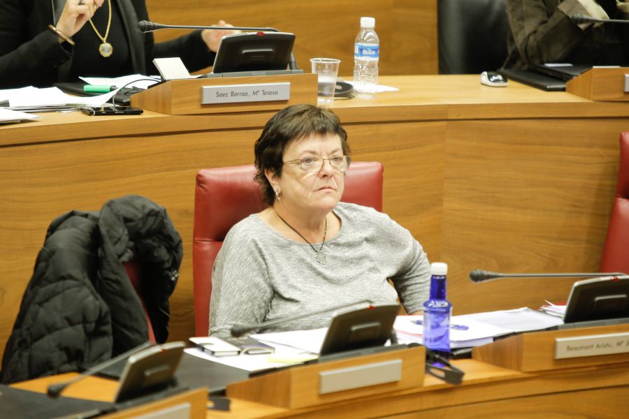 Beaumont dice que la mayoría quiere que Policía Foral asuma en exclusividad la seguridad