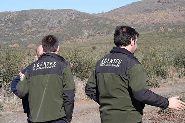 Convocadas, mediante oposición, 31 plazas de guardas forestales en Navarra