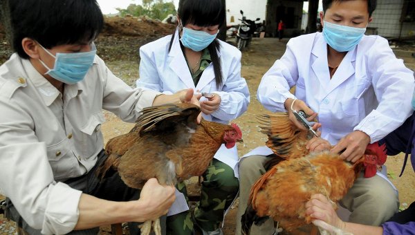 La OMS explica que cerca del 7 % de los virus del H7N9 en humanos eran resistentes a los antivirales