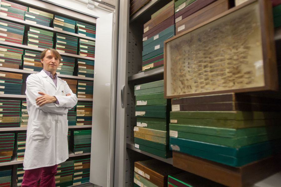 El catedrático de la Universidad de Navarra Jesús Miguel Santamaría, nuevo presidente de LifeWatch-ERIC