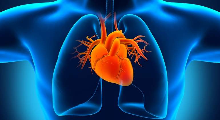 Cardiopatía congénita: qué es y cómo se detecta la dolencia del 'corazón al revés' de Chacón