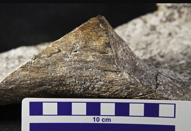 Descubren que el hombre estaba en América 115 mil años de lo que se creía