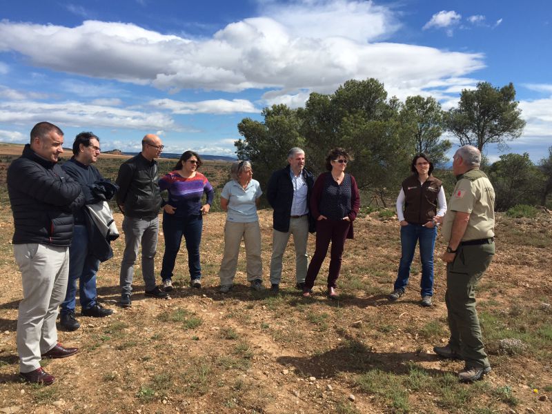 Medio Ambiente asegura que la actuación del Consorcio Eder en los pinares de la Ribera es por criterios ambientales