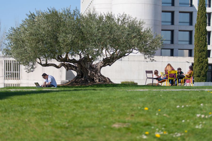 Diez grados de la Universidad de Navarra, entre los mejores de España, según el ‘ranking’ de ‘El Mundo’