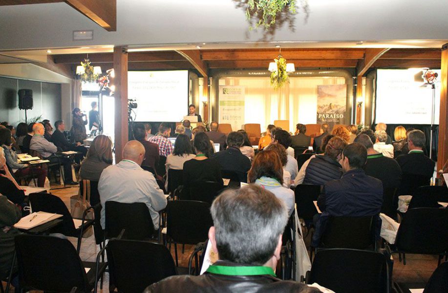 El turismo rural sale fortalecido de la crisis