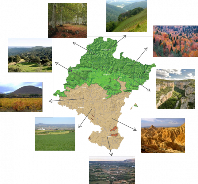 El 15% de las especies españolas vive en Navarra