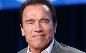 Schwarzenegger lanza un alegato ecologista en Cannes con 