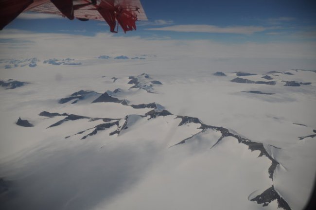 Glaciares de la península Antártica pierden entre 20 y 30 centímetros al día