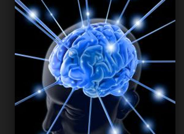 Identifican 40 nuevos genes relacionados con la inteligencia