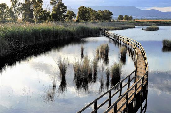 La naturaleza se impone a la historia en El Hondo