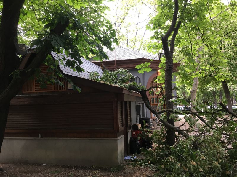 UPN de Pamplona pedirá información sobre los daños al arbolado por el fuerte viento